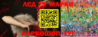 МДПВ Кунгур